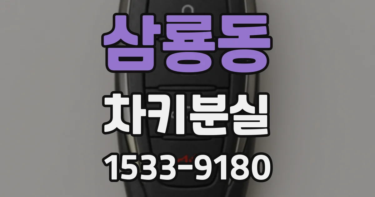 삼룡동 차키분실
