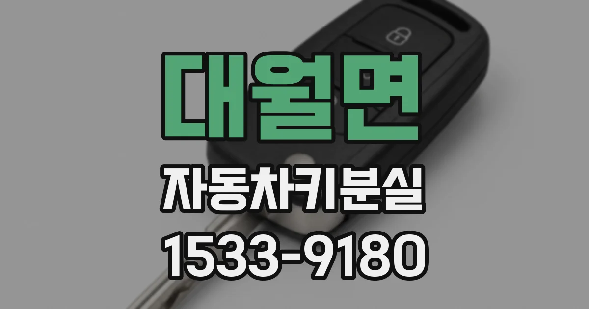 대월면 자동차키분실