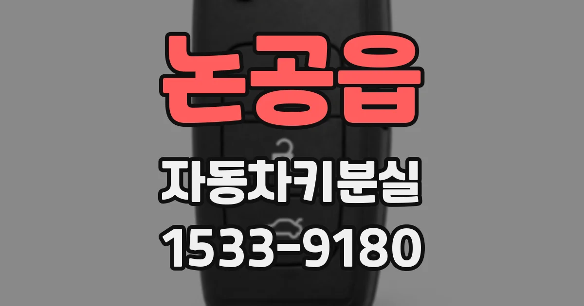 논공읍 자동차키분실