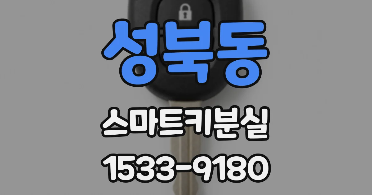 성북동 스마트키분실