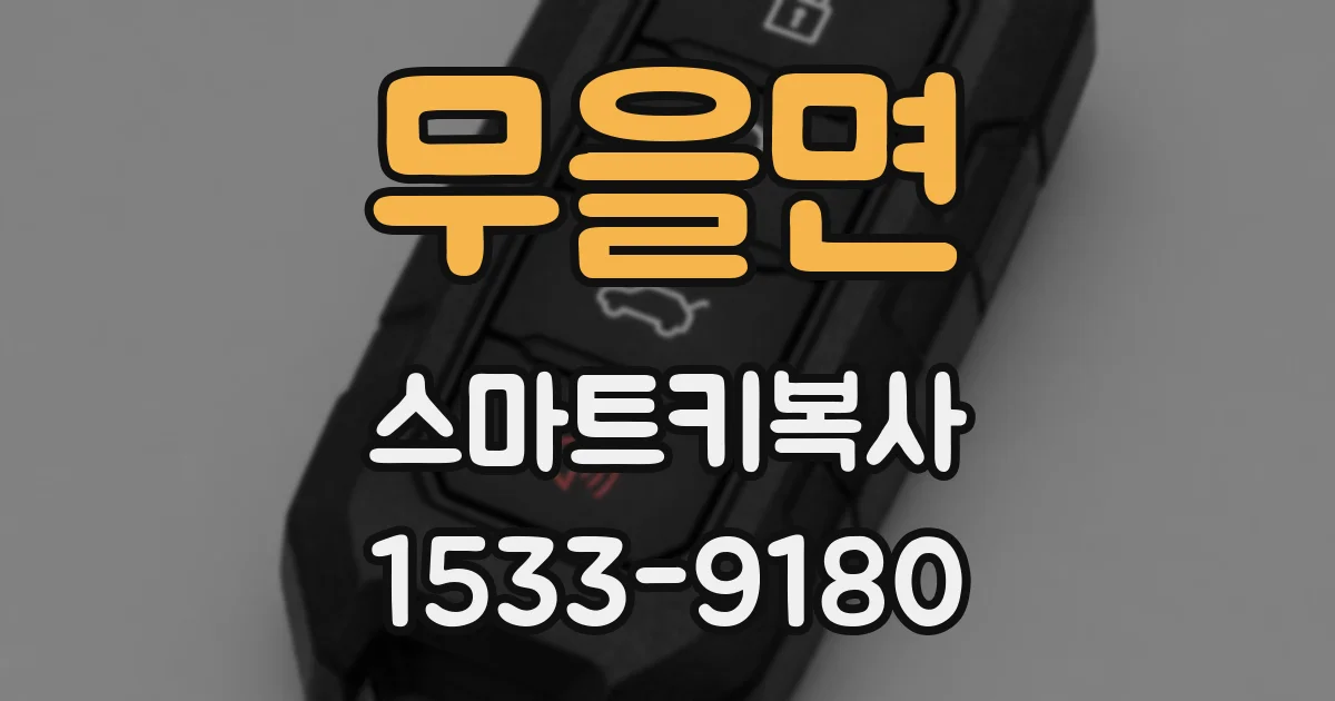 무을면 스마트키복사
