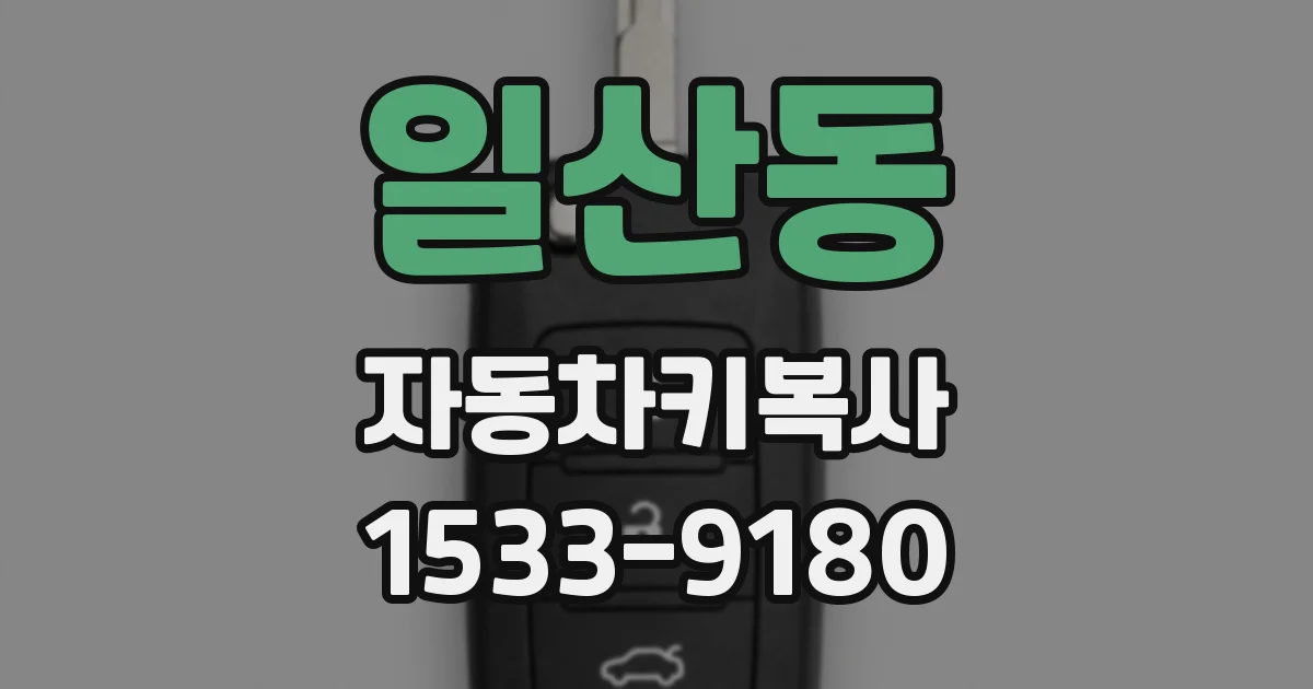 일산동 자동차키복사