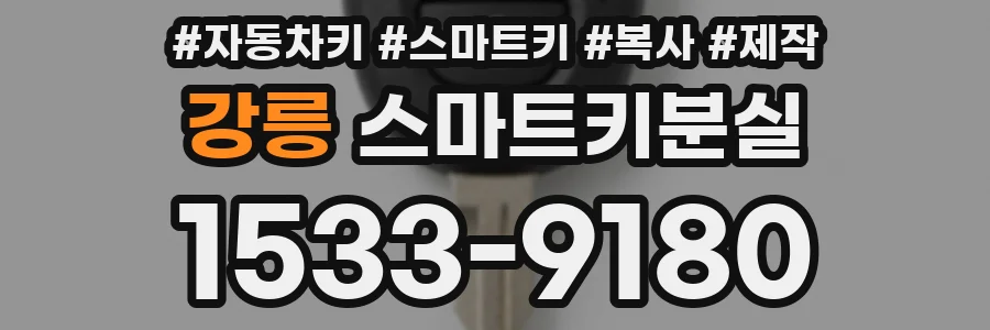강릉 스마트키분실