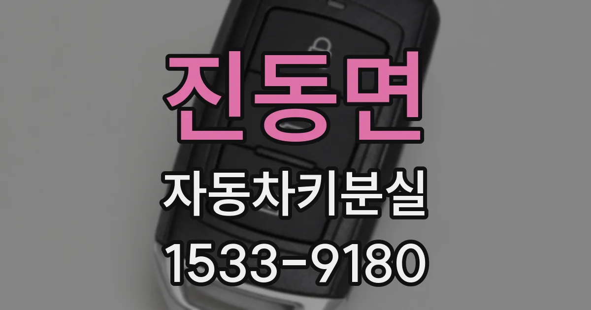 진동면 자동차키분실
