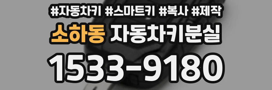 소하동 자동차키분실