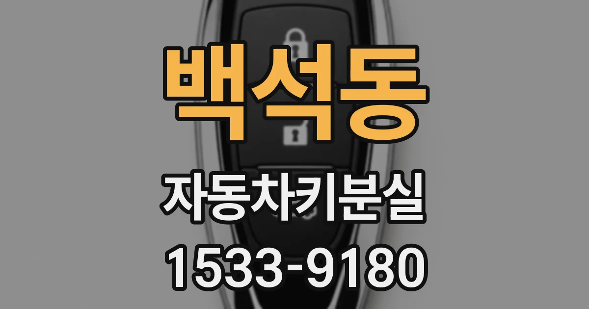백석동 자동차키분실