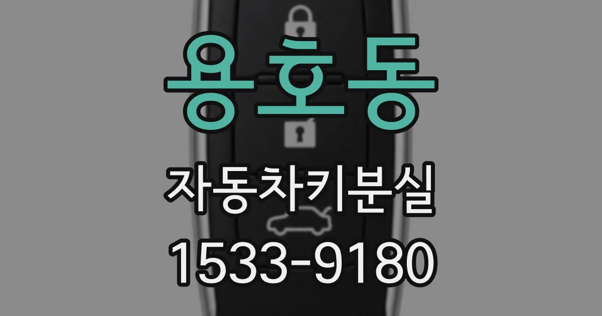 용호동 자동차키분실