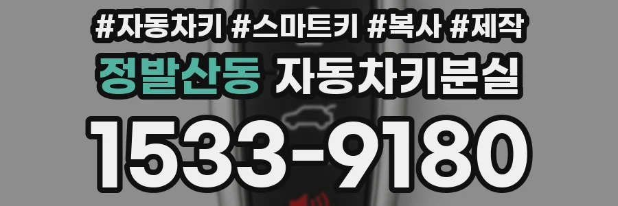 정발산동 자동차키분실