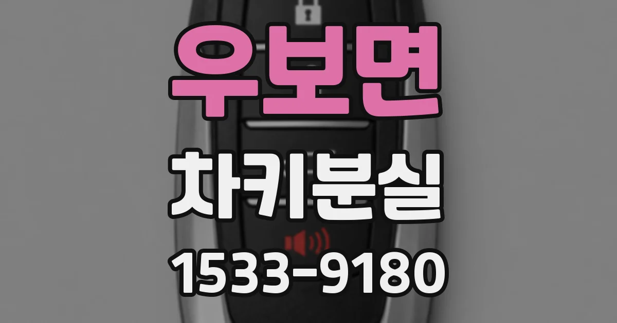 우보면 차키분실