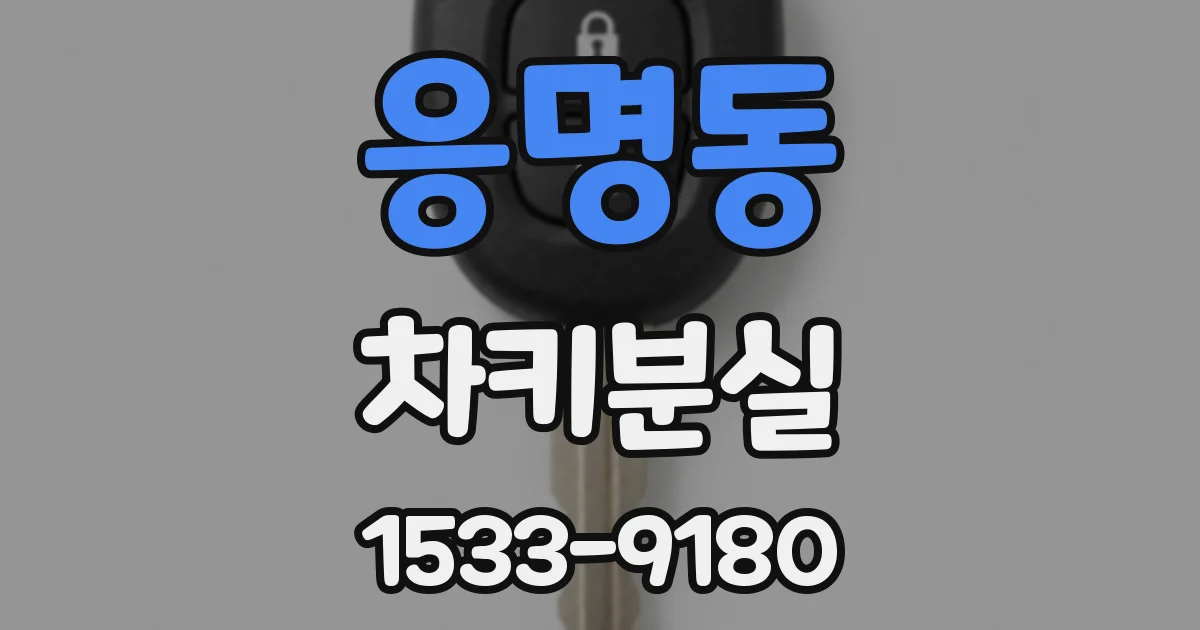 응명동 차키분실