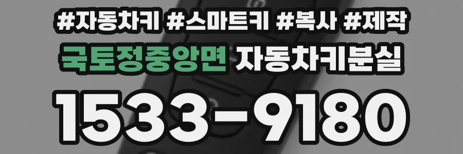 국토정중앙면 자동차키분실