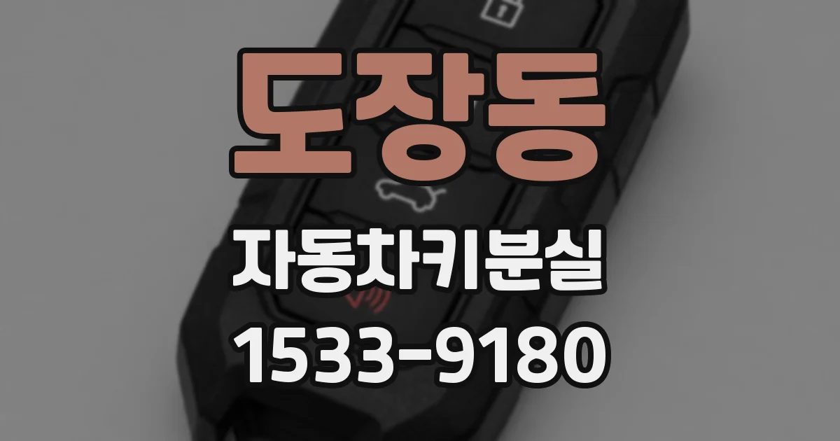 도장동 자동차키분실