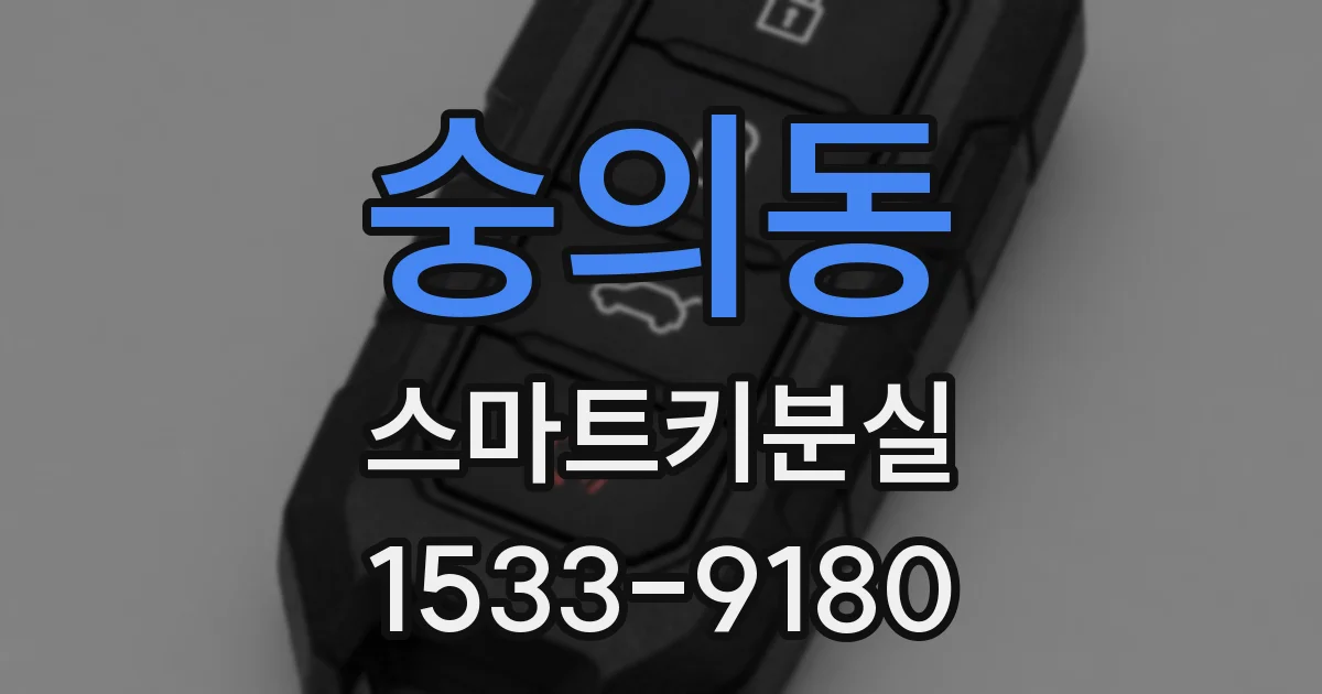 숭의동 스마트키분실