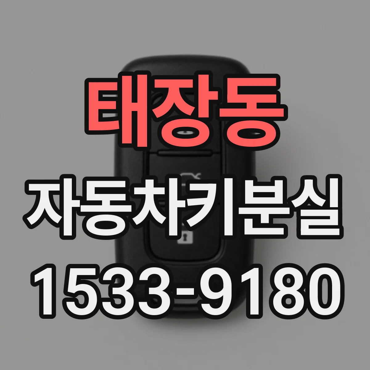 태장동 자동차키분실