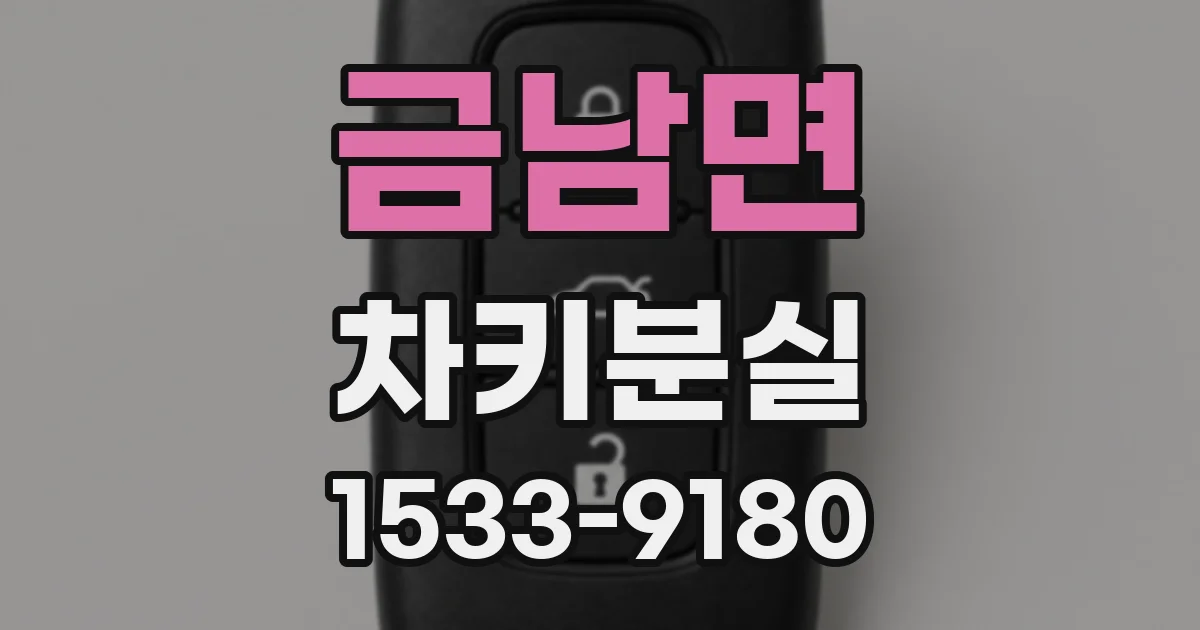 금남면 차키분실