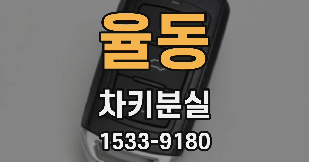 율동 차키분실