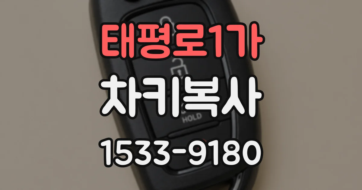 태평로1가 차키복사