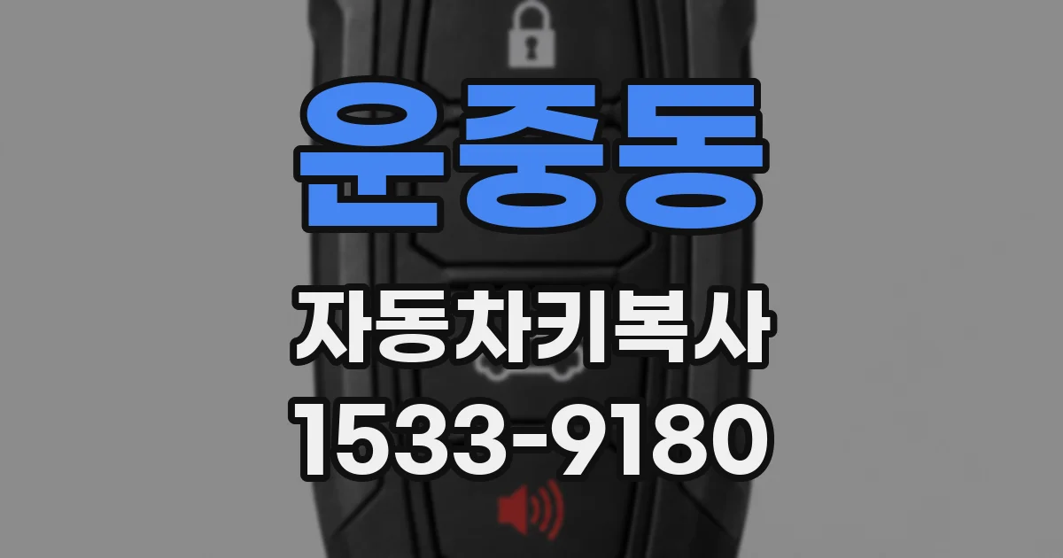 운중동 자동차키복사