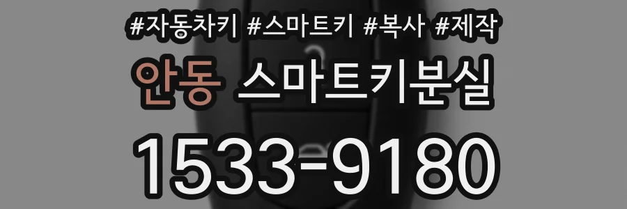 안동 스마트키분실