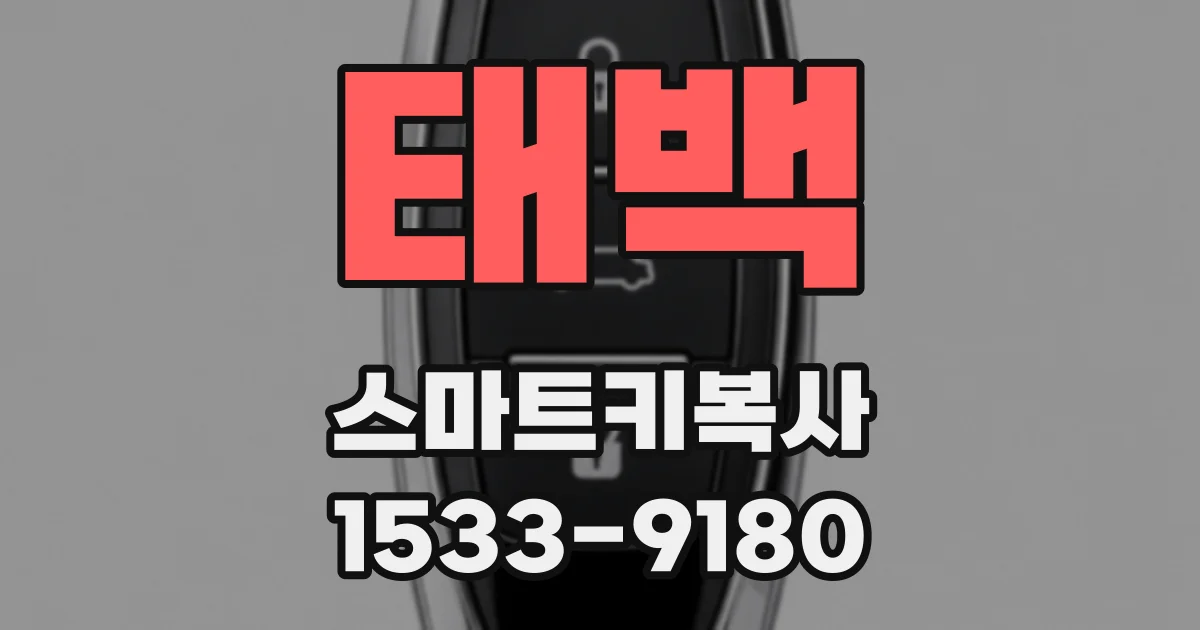 태백 스마트키복사