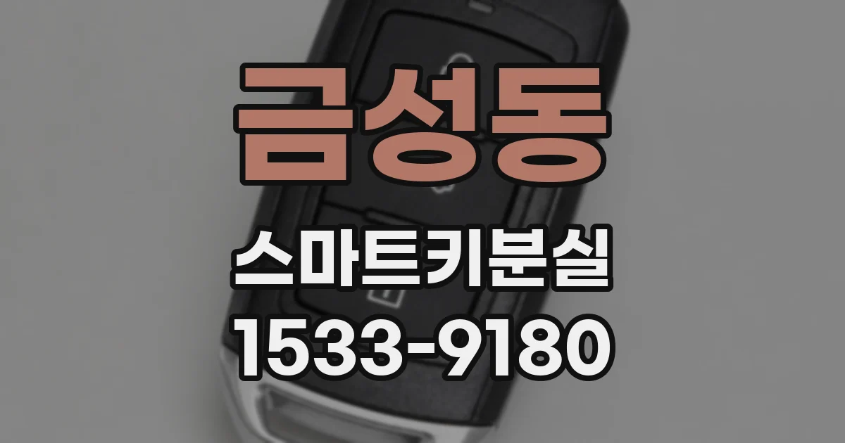 금성동 스마트키분실