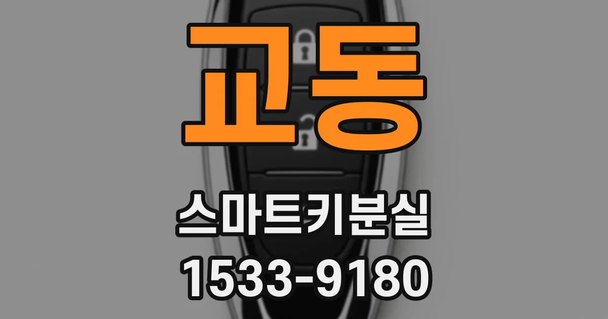 교동 스마트키분실