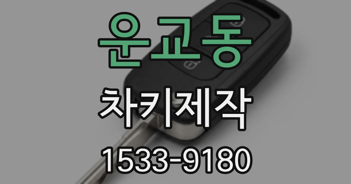 운교동 차키제작