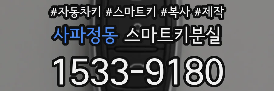 사파정동 스마트키분실