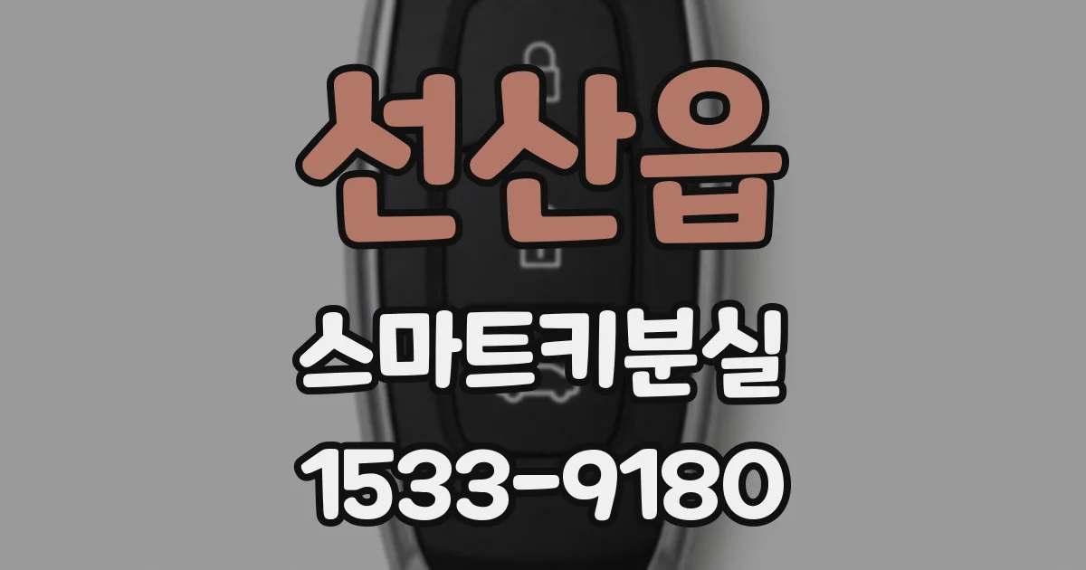 선산읍 스마트키분실