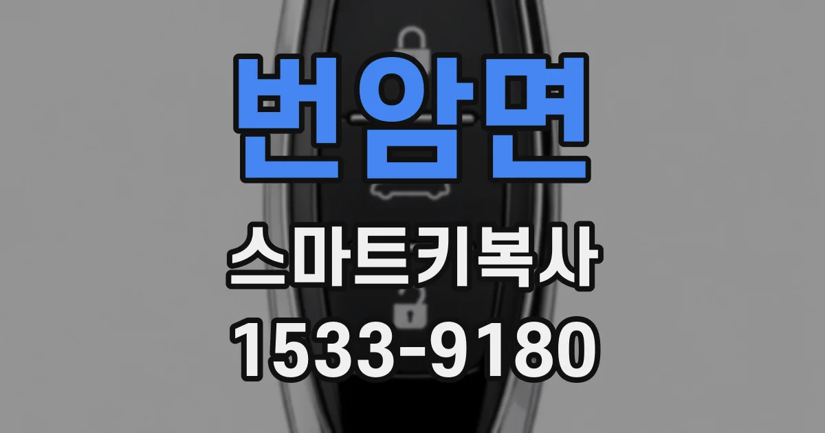 번암면 스마트키복사