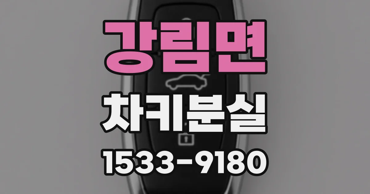 강림면 차키분실