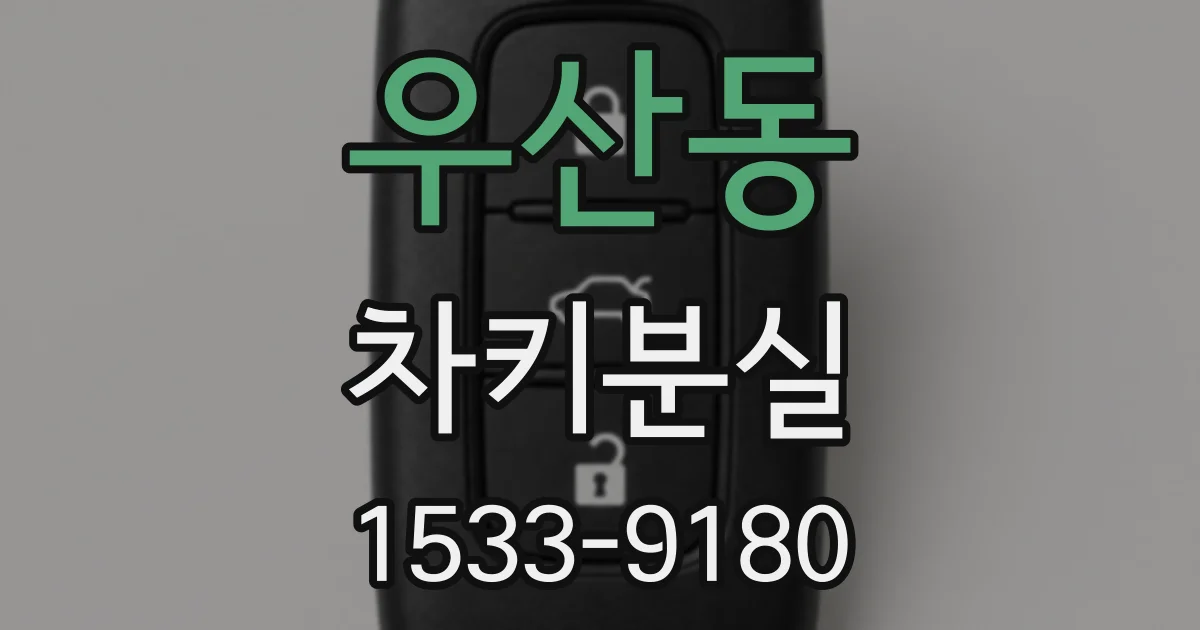 우산동 차키분실