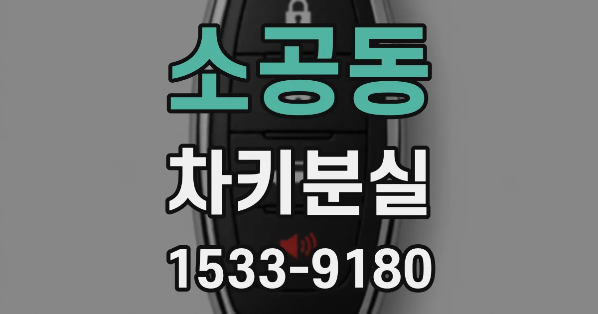 소공동 차키분실