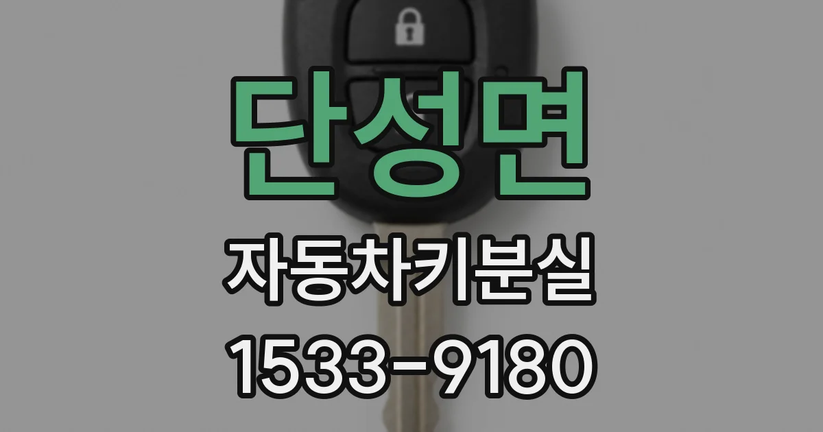 단성면 자동차키분실
