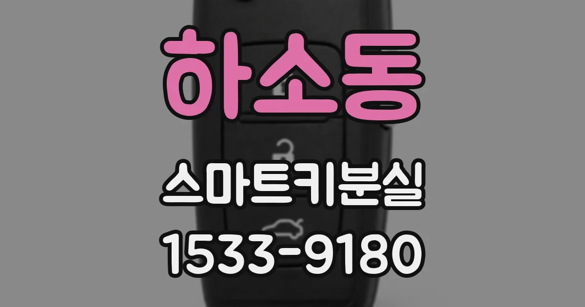 하소동 스마트키분실