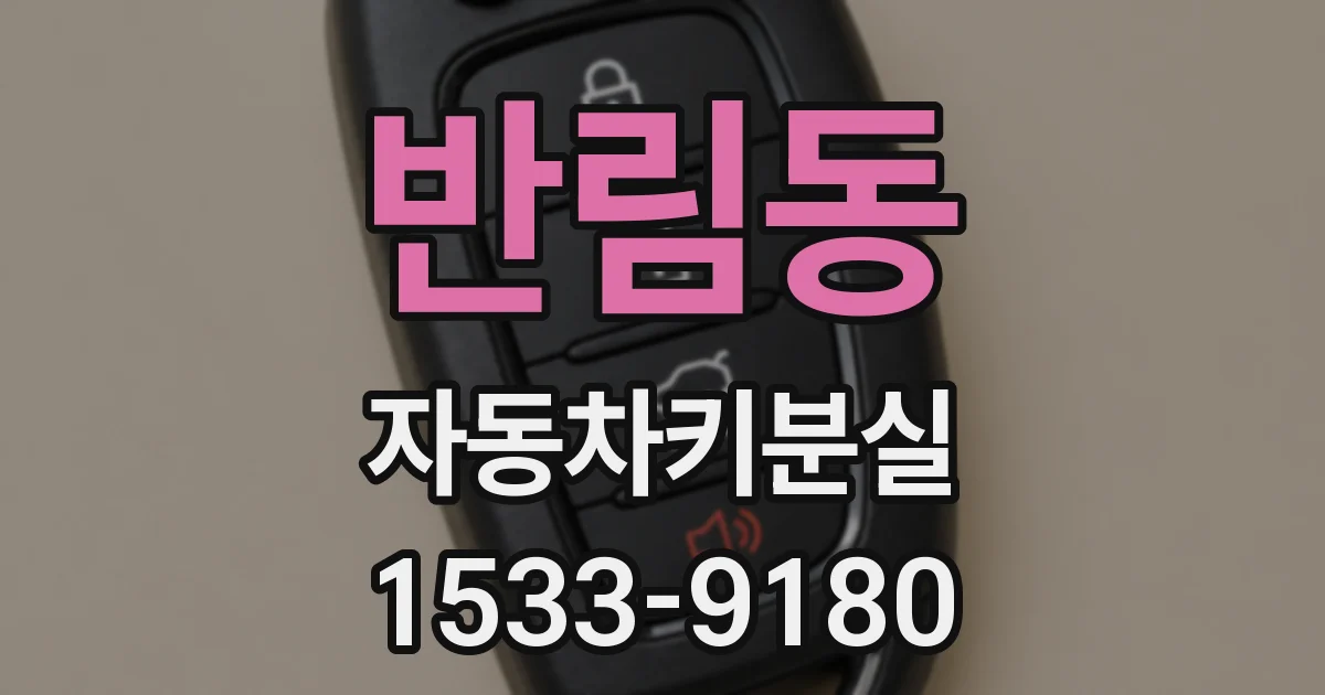 반림동 자동차키분실