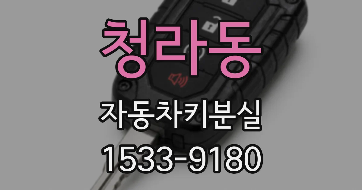 청라동 자동차키분실