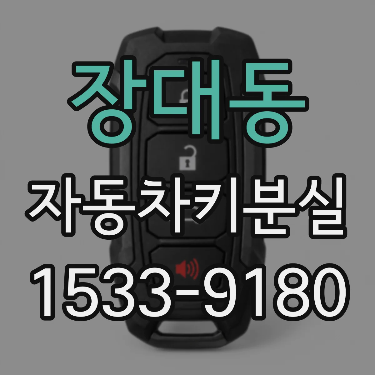 장대동 자동차키분실