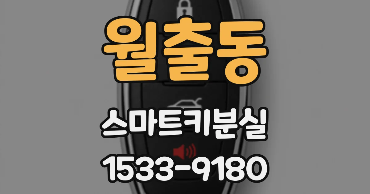 월출동 스마트키분실