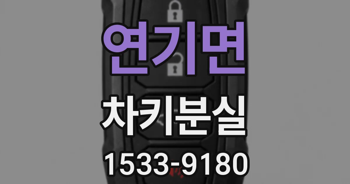 연기면 차키분실