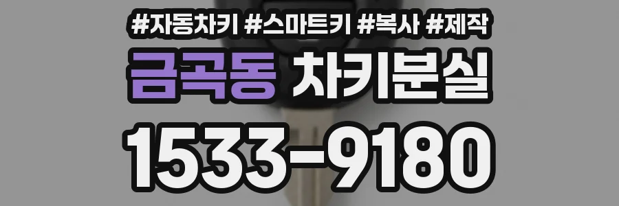 금곡동 차키분실