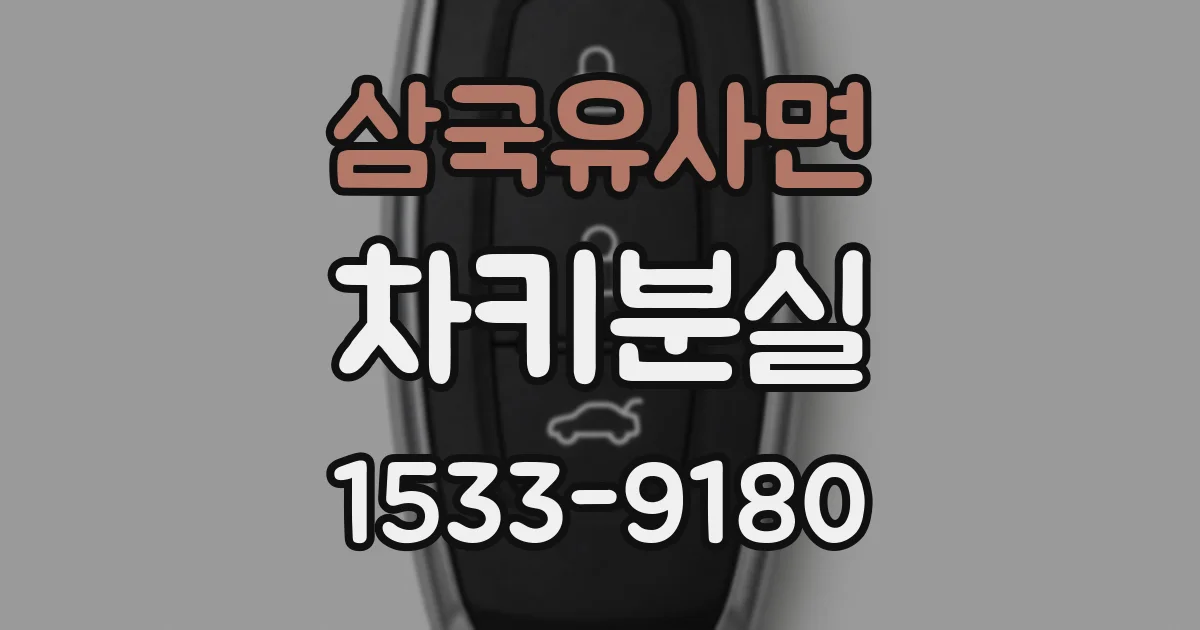 삼국유사면 차키분실