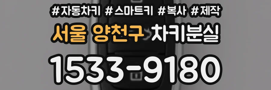 서울 양천구 차키분실