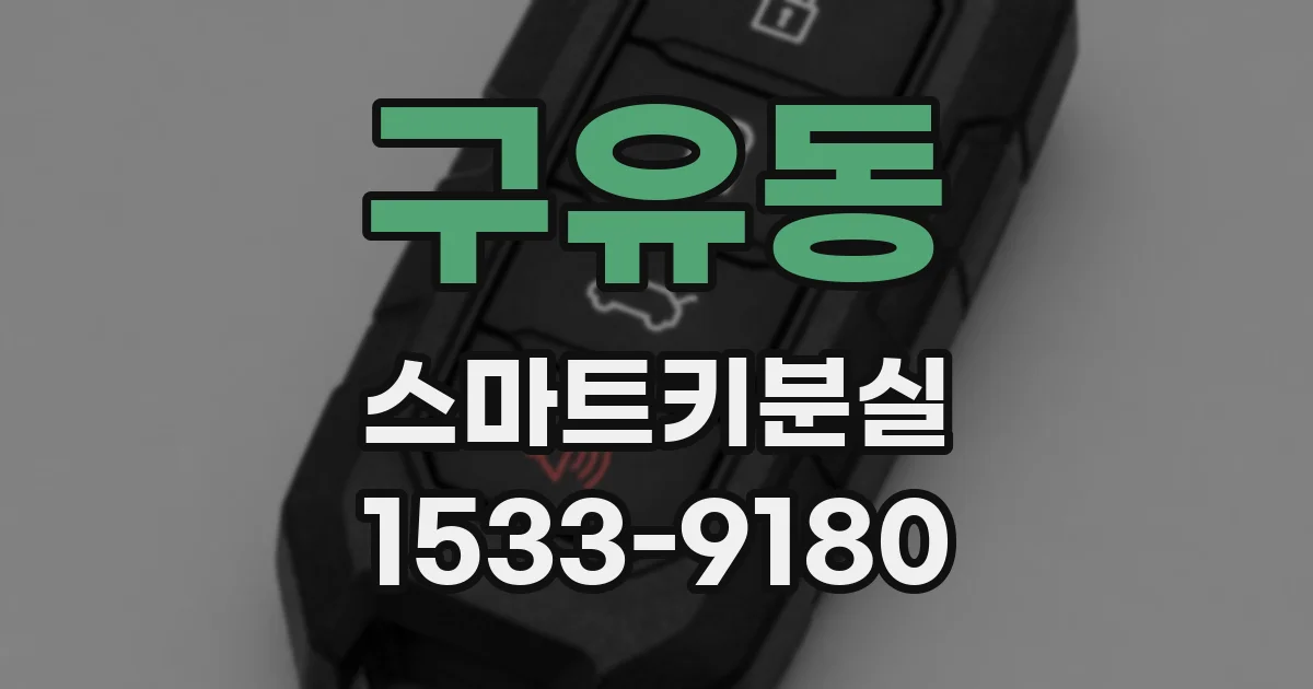 구유동 스마트키분실