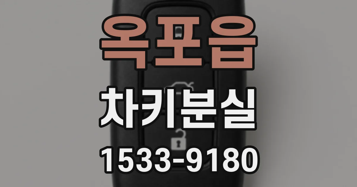 옥포읍 차키분실