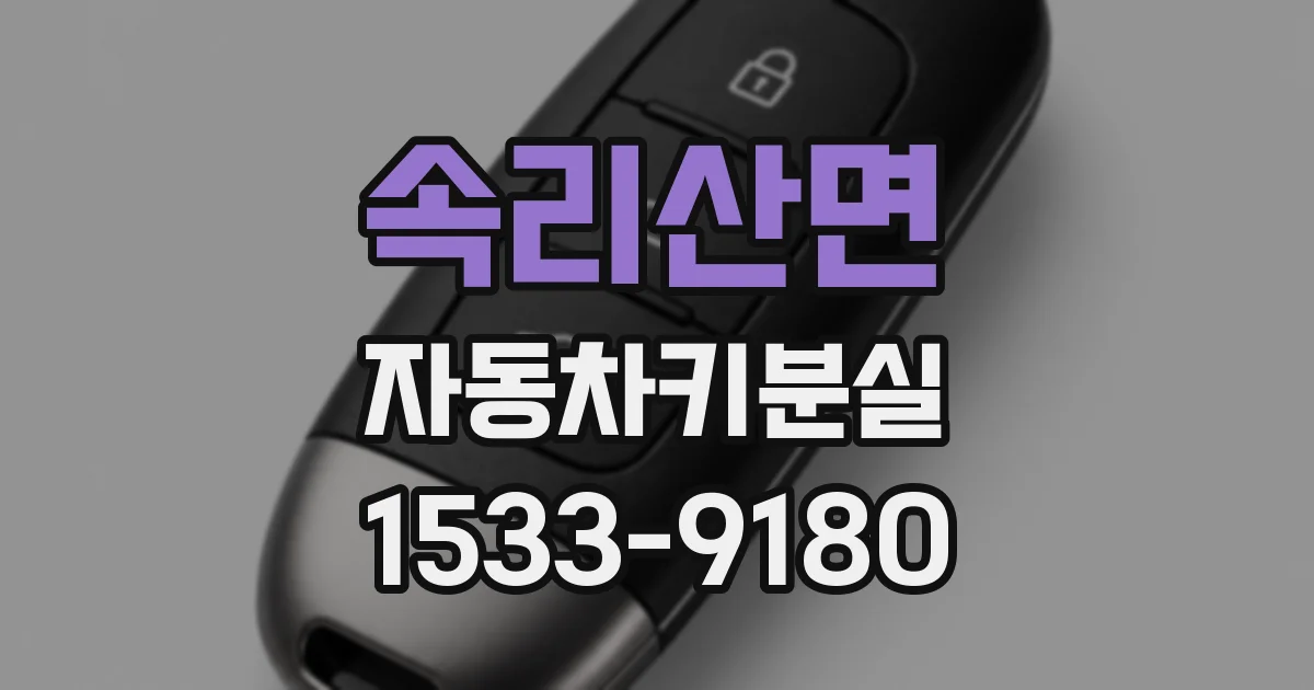 속리산면 자동차키분실