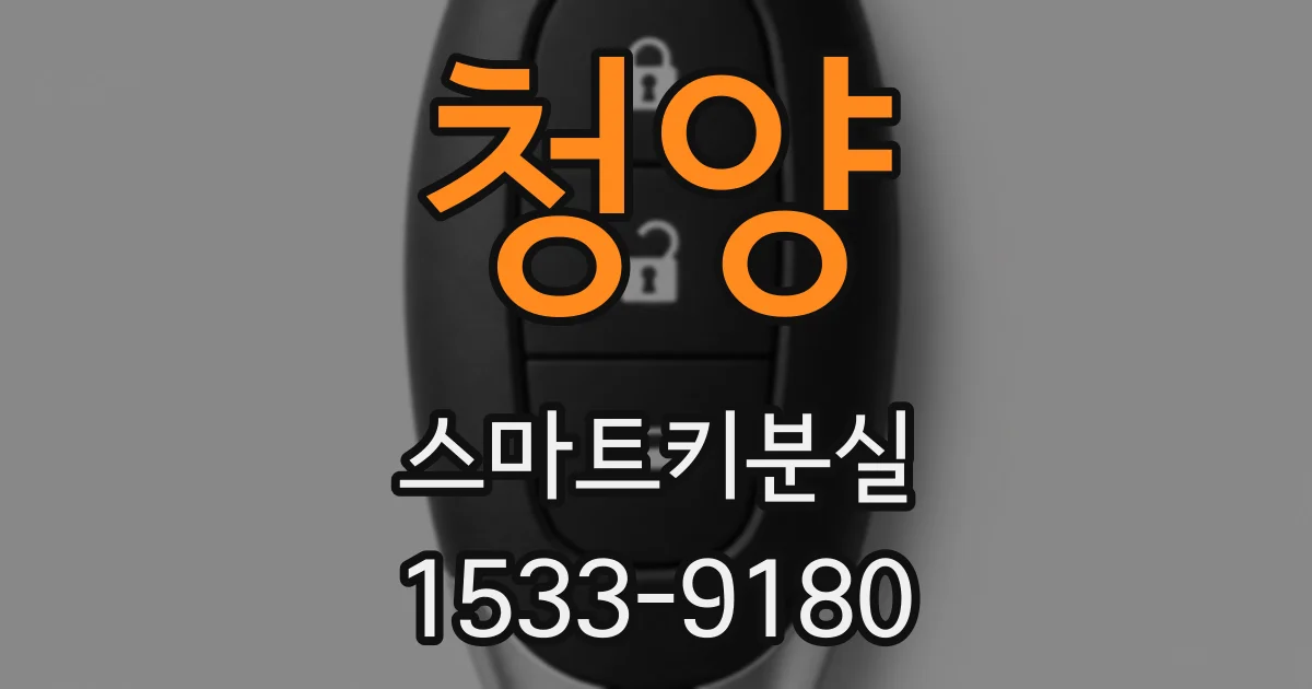 청양 스마트키분실
