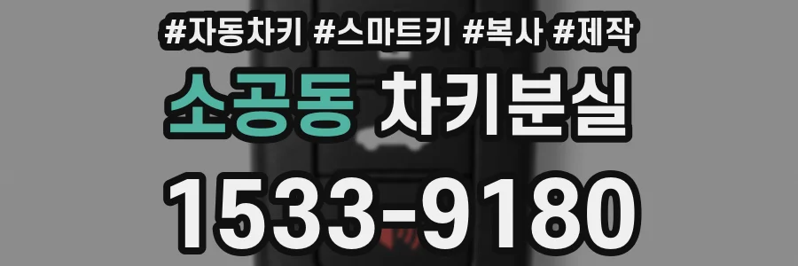 소공동 차키분실