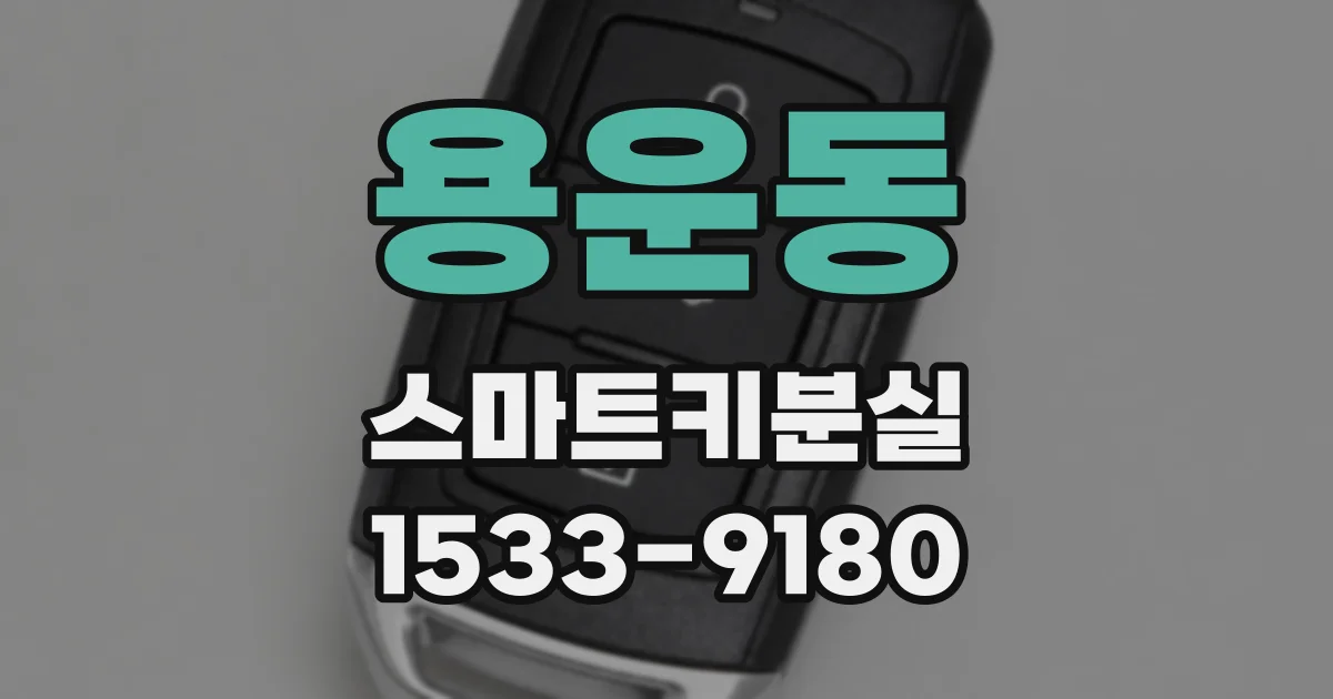 용운동 스마트키분실