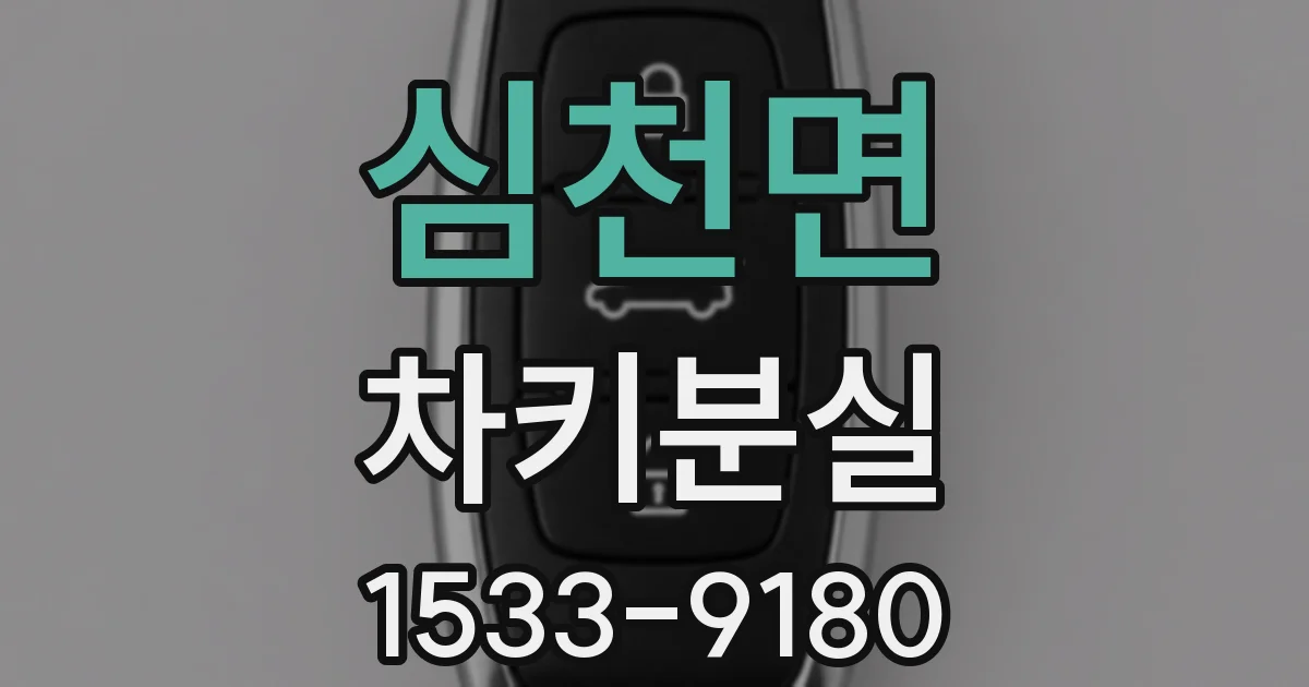 심천면 차키분실